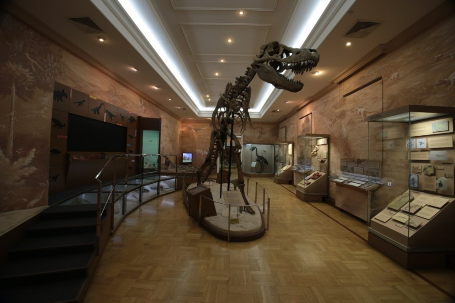 музей естественной истории