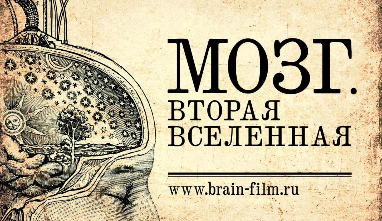 Мозг 2. Мозг Вселенная. Мозг вторая Вселенная. Мозг вторая Вселенная фильм 2017.