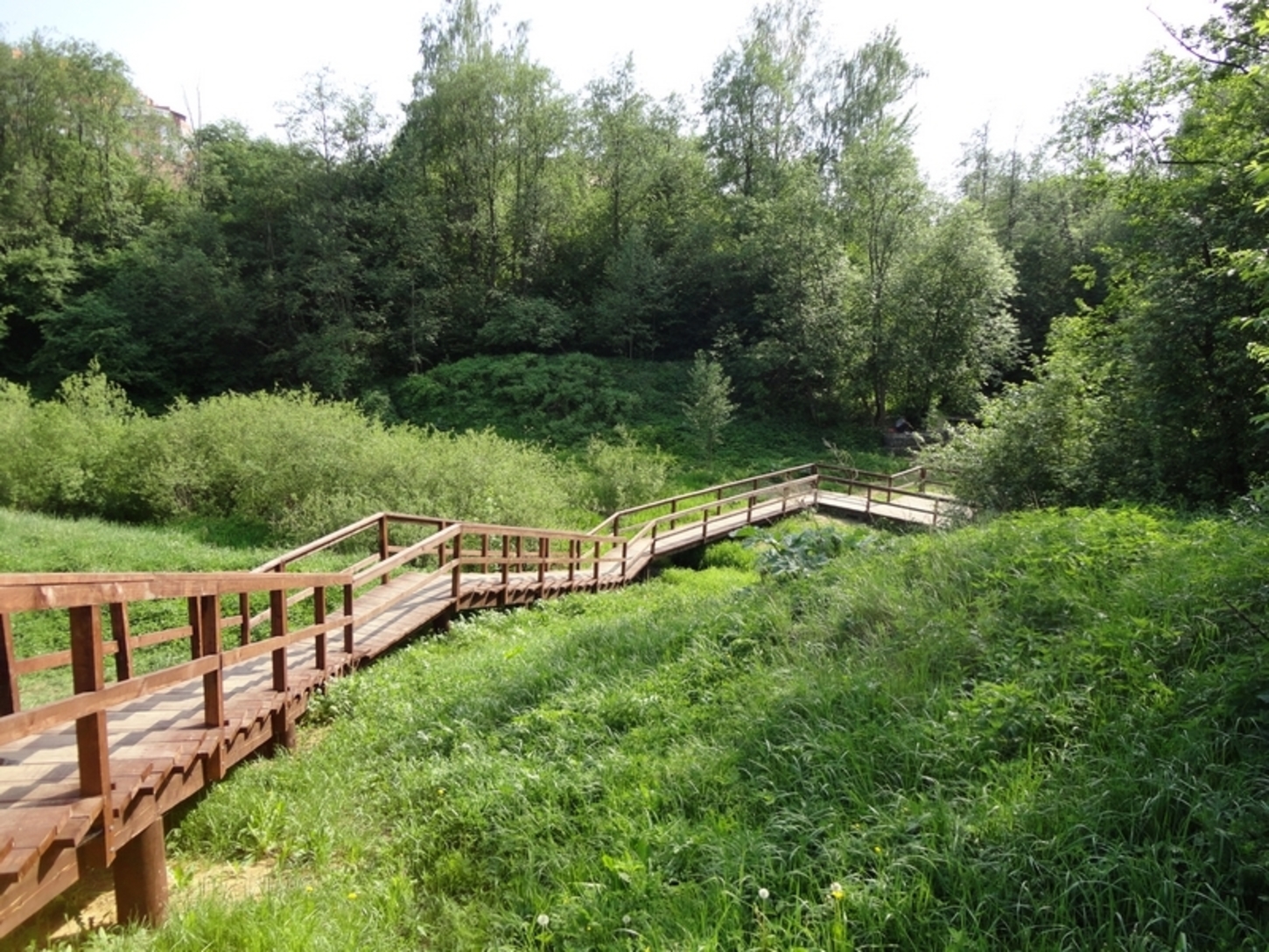 Парк долина реки сходни в куркино. Парк Долина реки Сходня в Куркино. Долина реки сходни в Куркино. Долина реки сходни в Куркино природный парк. Парк Долина реки Сходня.