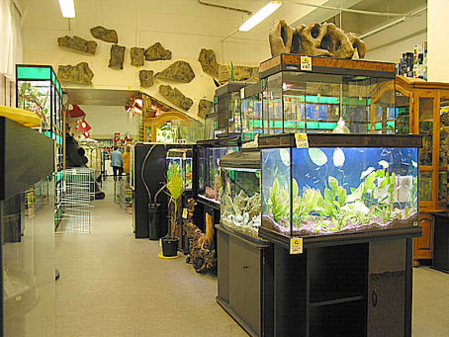 Магазин для черепах. Зоомагазин с экзотическими животными. Зоомагазин аквариум. Аквариумные рыбки в зоомагазине. Самый большой зоомагазин.