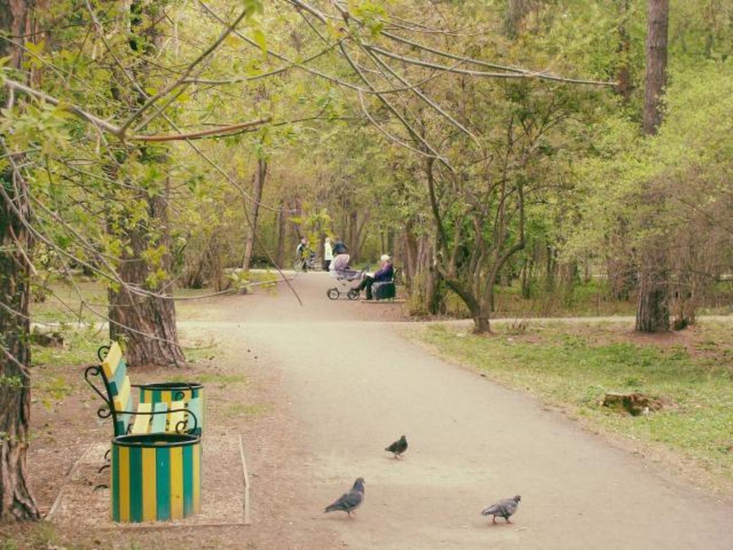 парк зеленая роща екатеринбург
